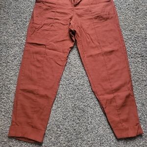 a new day Men's Terracotta Chinos